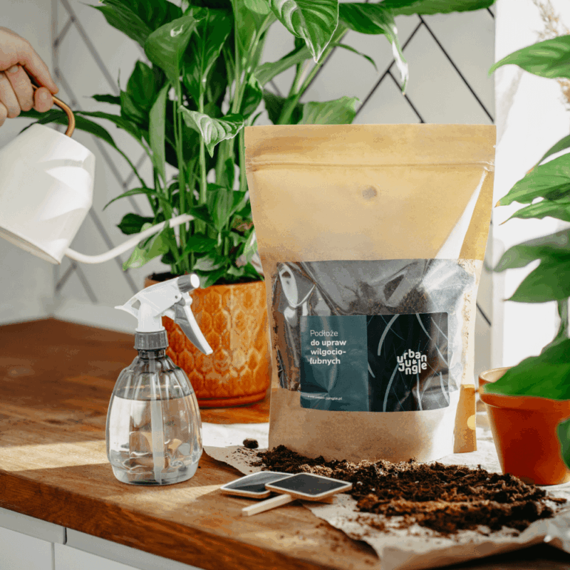 Podłoże Do Bananowca, Skrzydłokwiatu, Pachiry, Bigos, Ziemia Urban Jungle