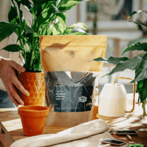 Podłoże Do Bananowca, Skrzydłokwiatu, Pachiry, Bigos, Ziemia Urban Jungle