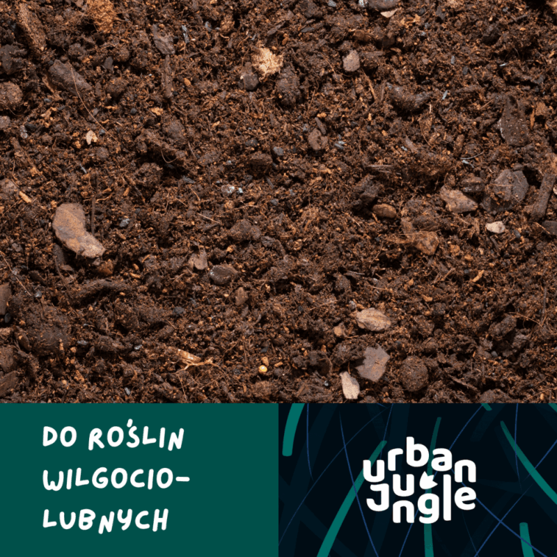 Podłoże Do Bananowca, Skrzydłokwiatu, Pachiry, Bigos, Ziemia Urban Jungle