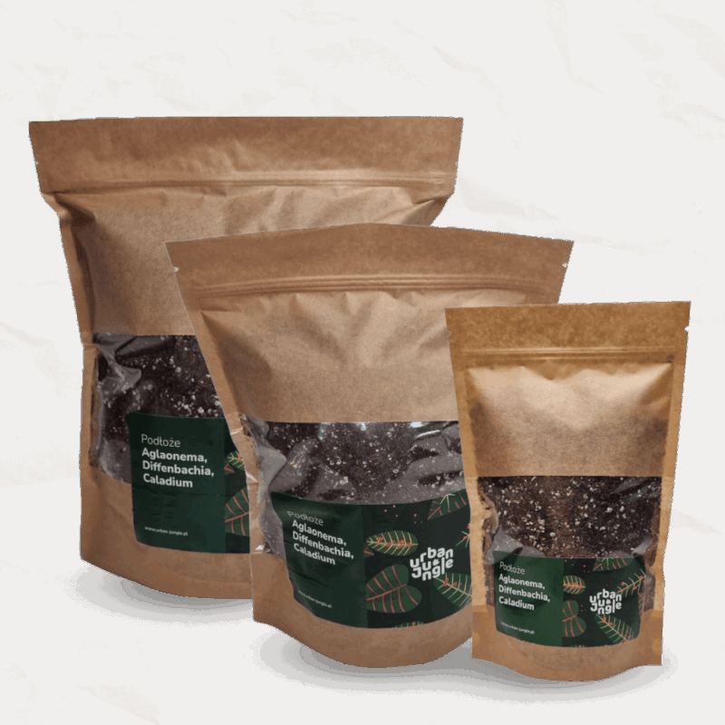 Podłoże Do Aglaonemy, Diffenbachii, Caladium, Bigos, Ziemia Urban Jungle