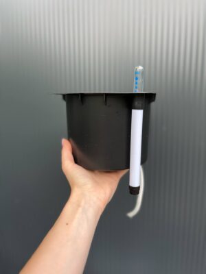 Doniczka samonawadniająca – kwadratowa 15 cm | Hydroponika