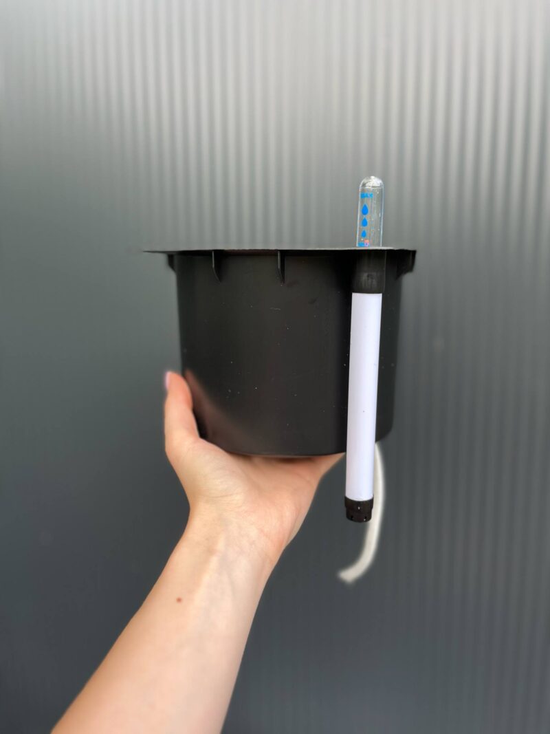 Doniczka samonawadniająca – kwadratowa 15 cm | Hydroponika