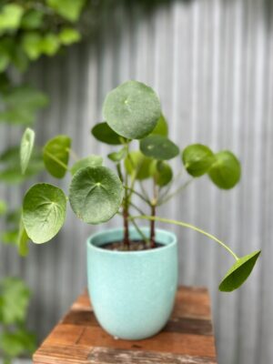 Osłonka ceramiczna 13 cm – turkusowa